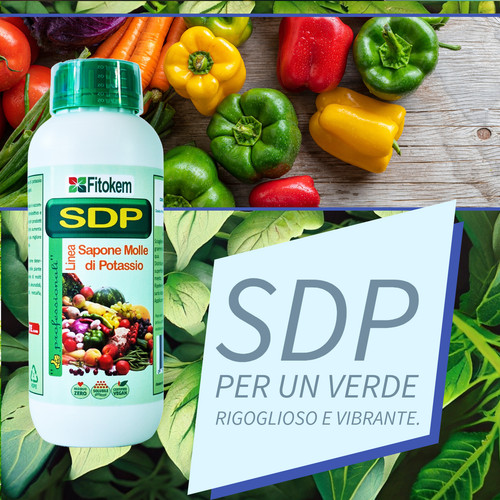 Sdp concdime sapone molle - molle, di